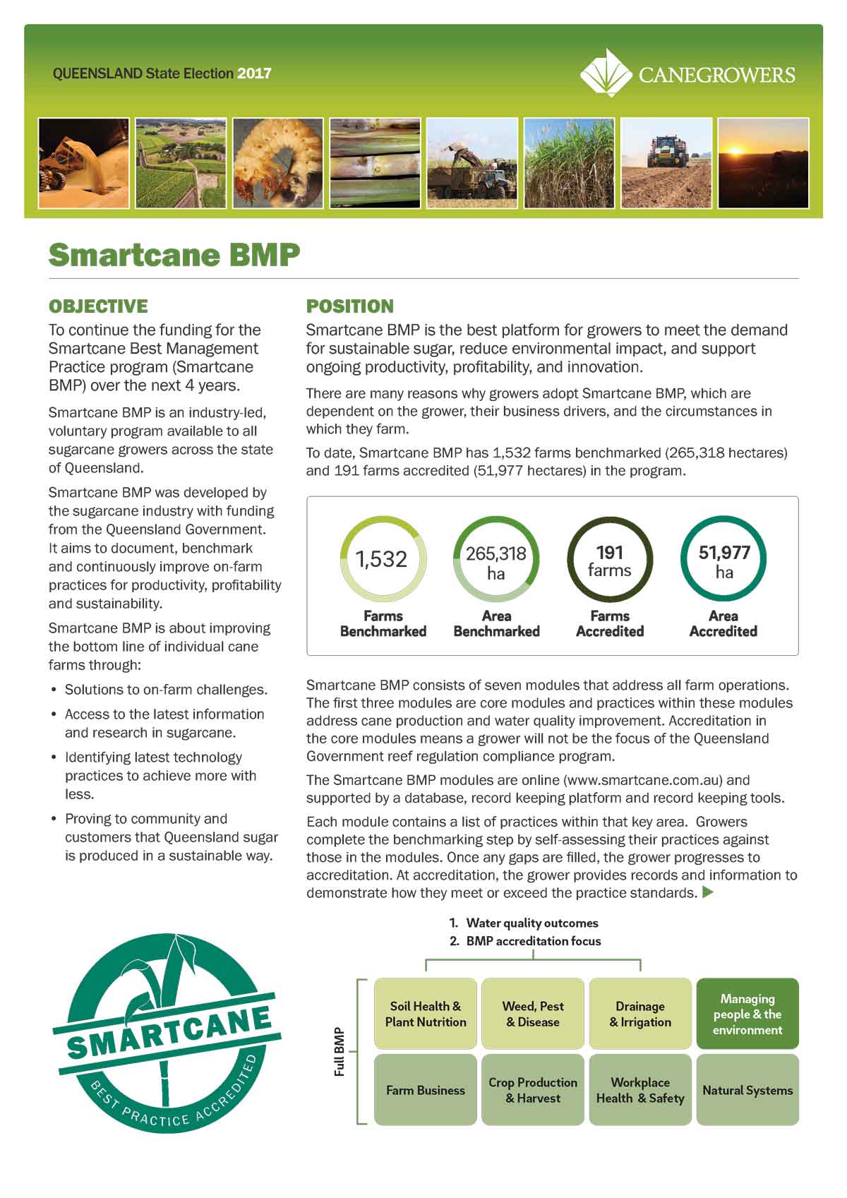 Smartcane BMP p1