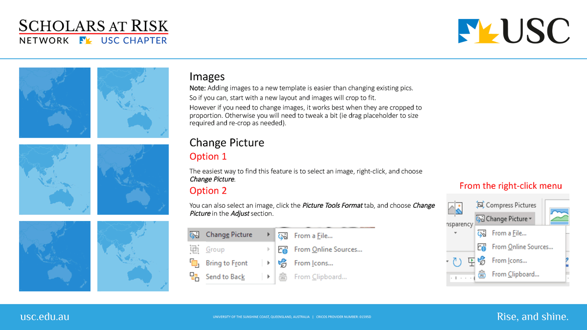 SAR template: instructions